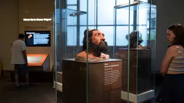Genetic Legacy from Neanderthals, Denisovans Impacts Health of Modern Humans